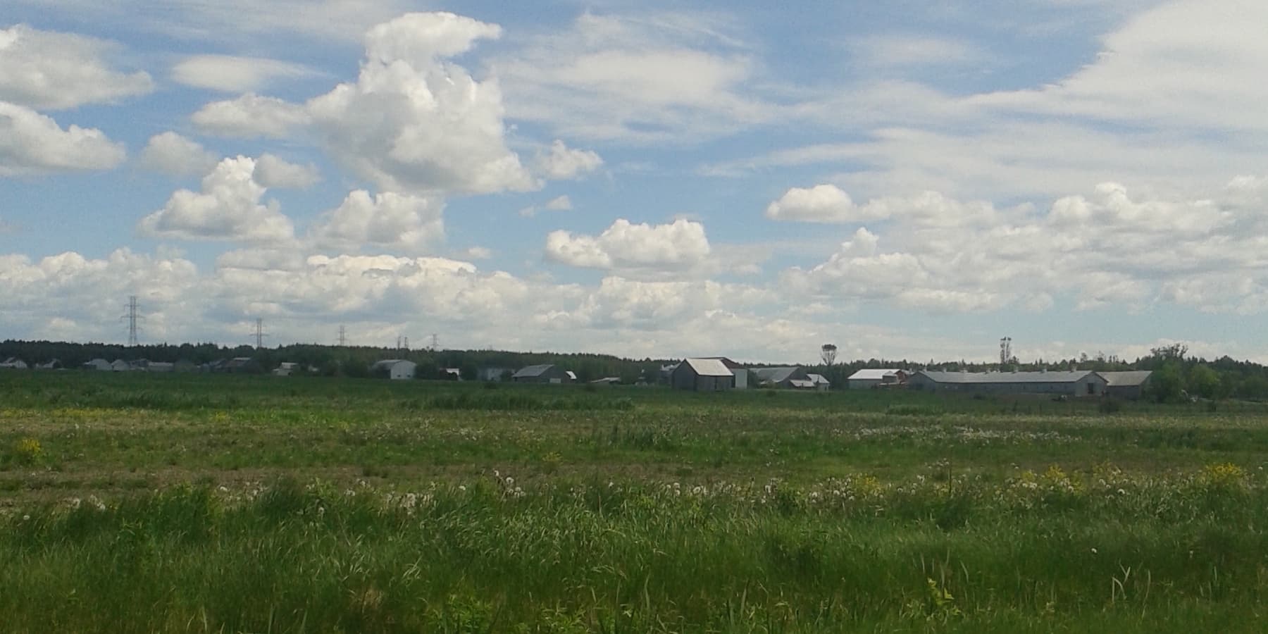 Pool Builders in Gilbert, AZ